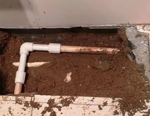 湟中测漏水哪家好