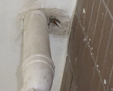 湟中漏水检测哪家好